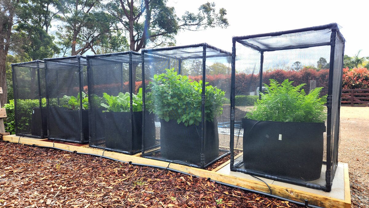 Aussie Gardener PestFree Mini Cover Home & Garden Hymo Industry