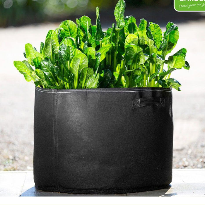 Aussie Gardener Black GeoFelt Veggie Growing Planter with Handles 550mmx400mm Aussie Gardener Single