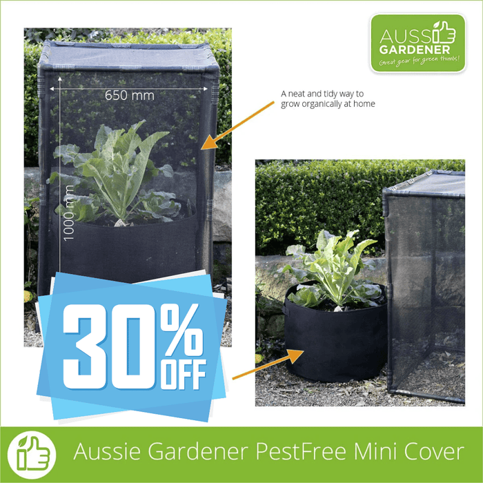Aussie Gardener PestFree Mini Cover