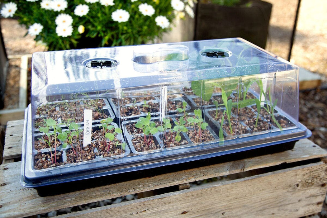 Aussie Gardener Vegetable Seedling Nursery Kit - Large veggie growing Aussie Gardener