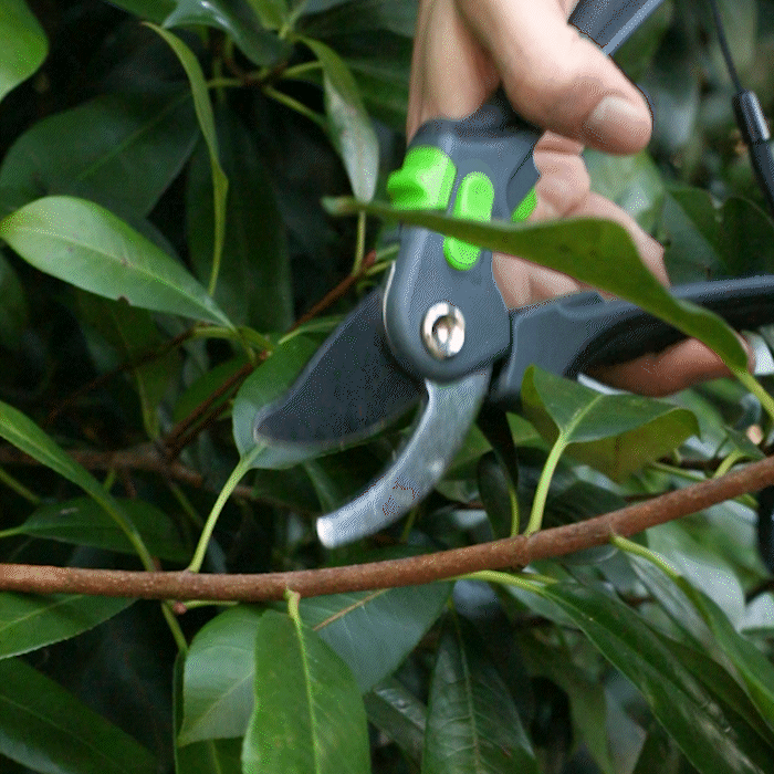 Aussie Gardener Secateurs - Stainless steel blade garden tools Foshan Nanhai Oude Metal Products Co Ltd