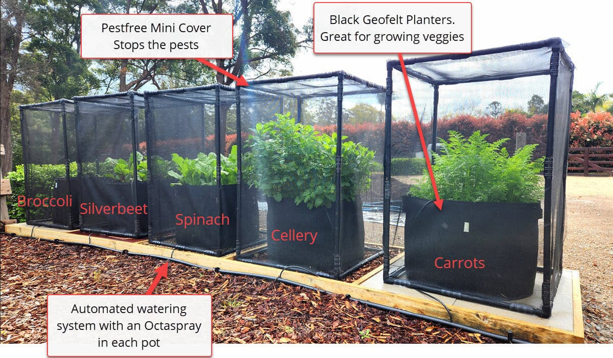 Aussie Gardener PestFree Mini Cover Home & Garden Hymo Industry Single Pestfree Mini Cover Kit