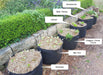 Photo demonstrating how a row of GeoFelt Planter bags can be configured. Text boxes point to each planter saying "Silverbeet" "Bok Choi" "Oregano, Chives, Thyme" "Lettuce" "Basil, Parsley" "Strawberries". Some plants can be combined in the same bag.