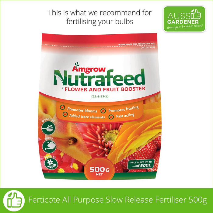 Amgrow Nutrafeed Fruit & Flower Booster-Bulb Liquid Fertiliser 500g fertilisers AMGROW