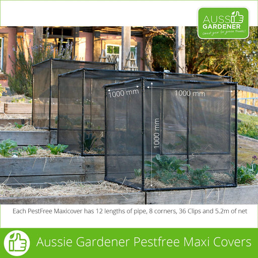 Photo of PestFree Maxi Cover, a 1 metre cube constructed with black PVC piping and connectors, a flyscreen net is clipped onto the outside to prevent pests from reaching plants. Each PestFree Maxi Cover has 12 pipes, 8 corners, 36 clips and 5.2m of net.