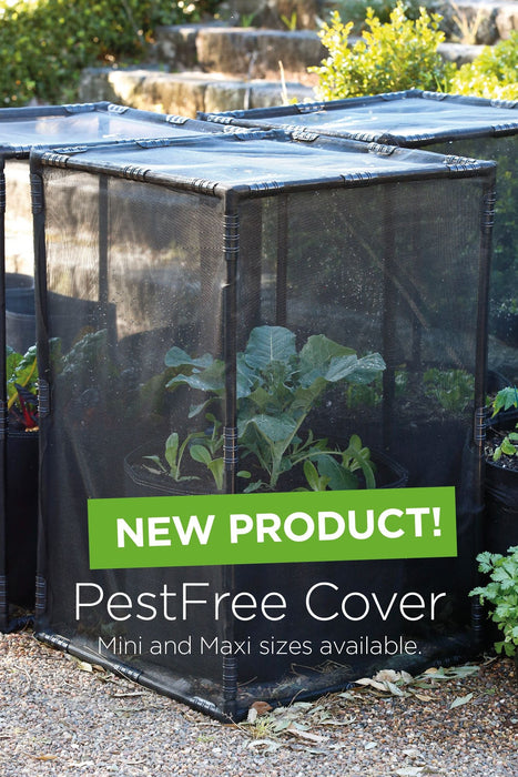Photo of a different product called the PestFree Cover. Black PVC piping built into a box shape with corner connectors and covered in flyscreen and placed over planter bags to protect plants.