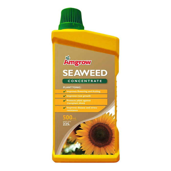 Amgrow Seaweed Amgrow Concentrate fertilisers AMGROW