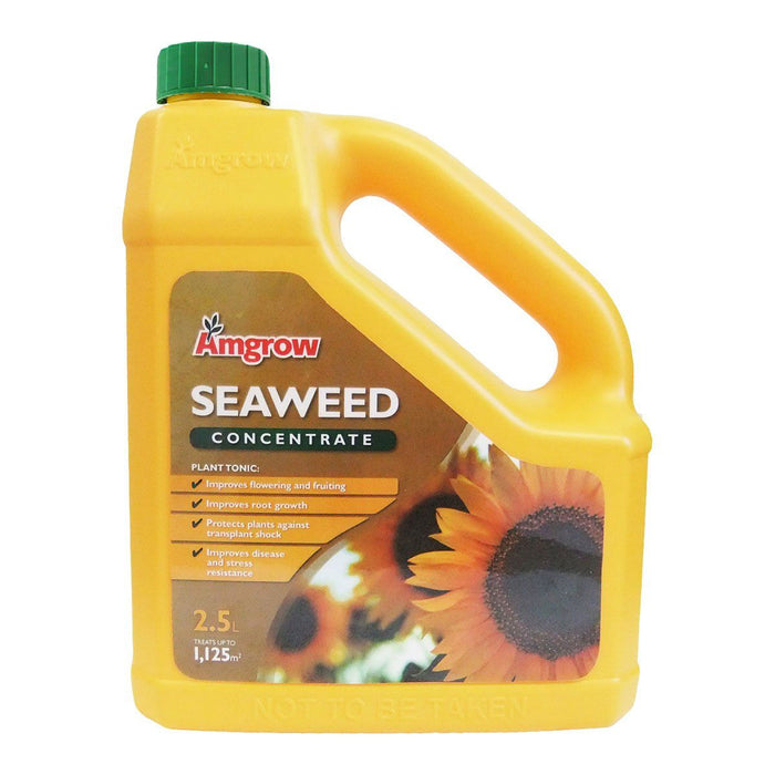 Amgrow Seaweed Amgrow Concentrate fertilisers AMGROW 2.5L