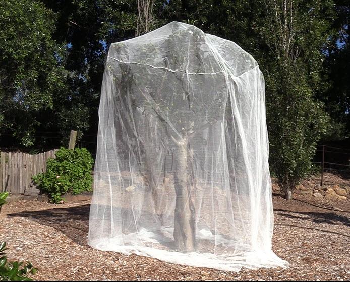 Netting - Fitted insect net (2.4m width x 2.8m high) 2MM Woven Insect Net veggie growing RYSET