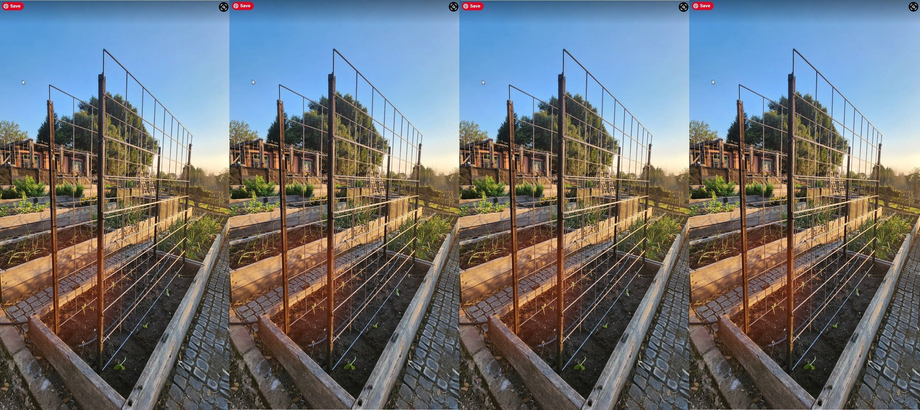 How to build a Bean Trellis in steel mesh