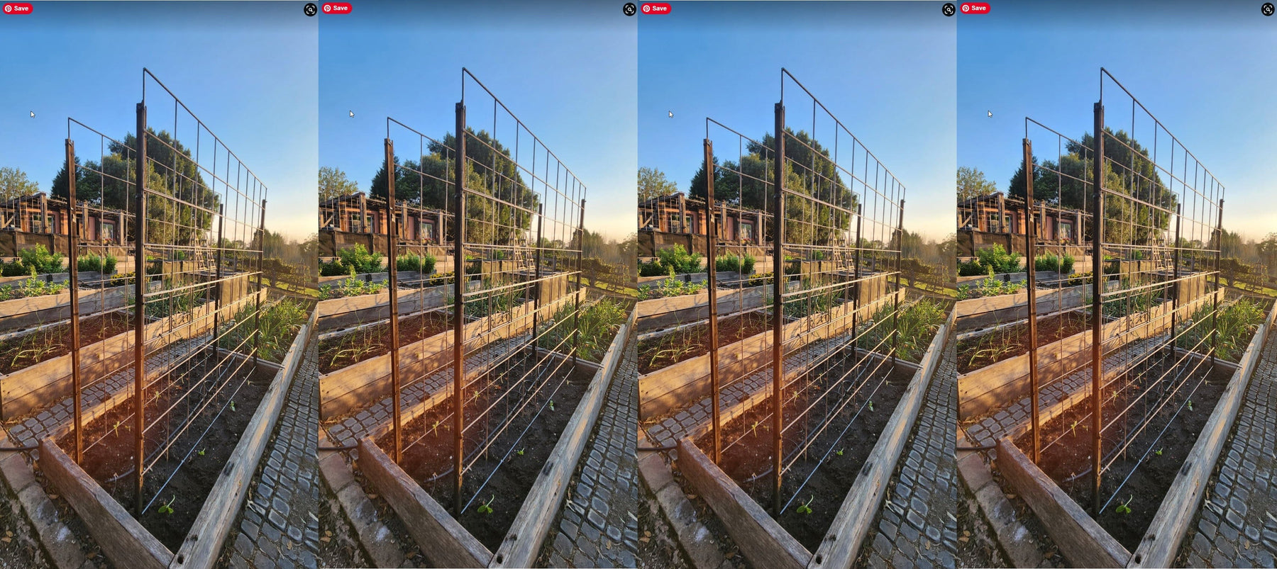 How to build a Bean Trellis in steel mesh