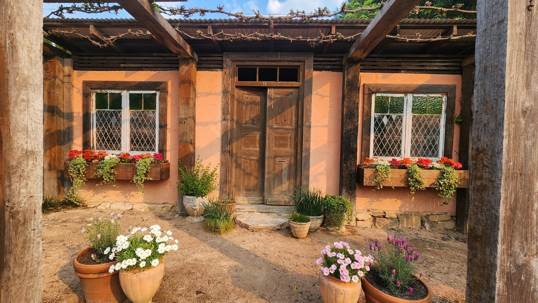 Our Tuscan Themed Garden