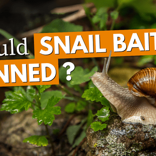 Should Snail Bait be Banned?