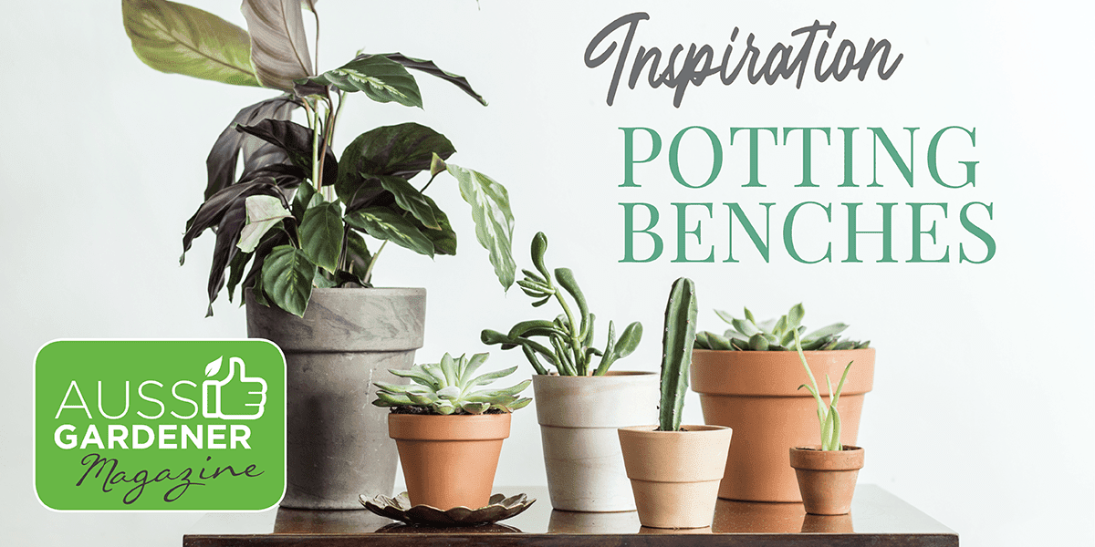 Potting benches . — Aussie Gardener