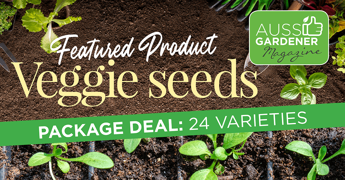 Featured Product: 24 Seed Packs . — Aussie Gardener