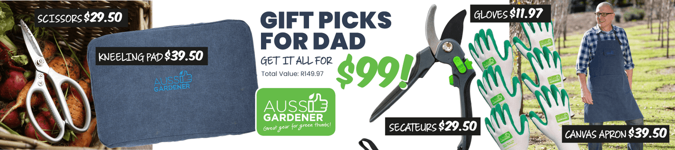 Fathers Day most popular gifts and gadgets