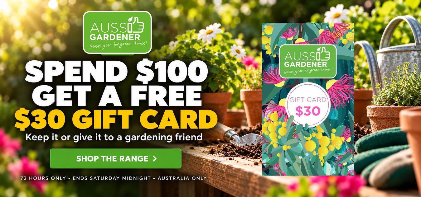 72-Hour Offer — In-Stock Favourites