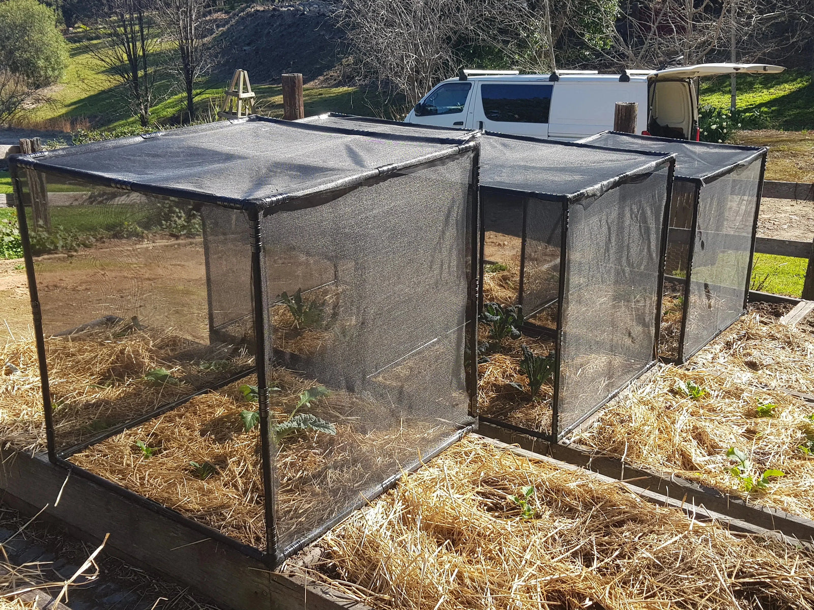 Aussie Gardener PestFree Maxi Cover (1m cube) Home & Garden Hymo Industry 