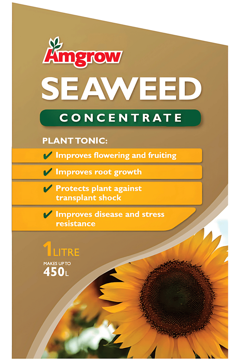 Amgrow Seaweed Amgrow Concentrate fertilisers AMGROW 