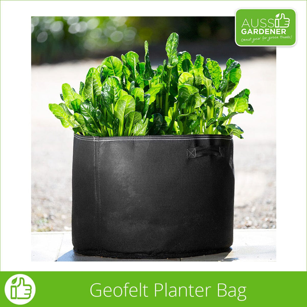 Aussie Gardener Black GeoFelt Veggie Growing Planter with Handles 550mmx400mm