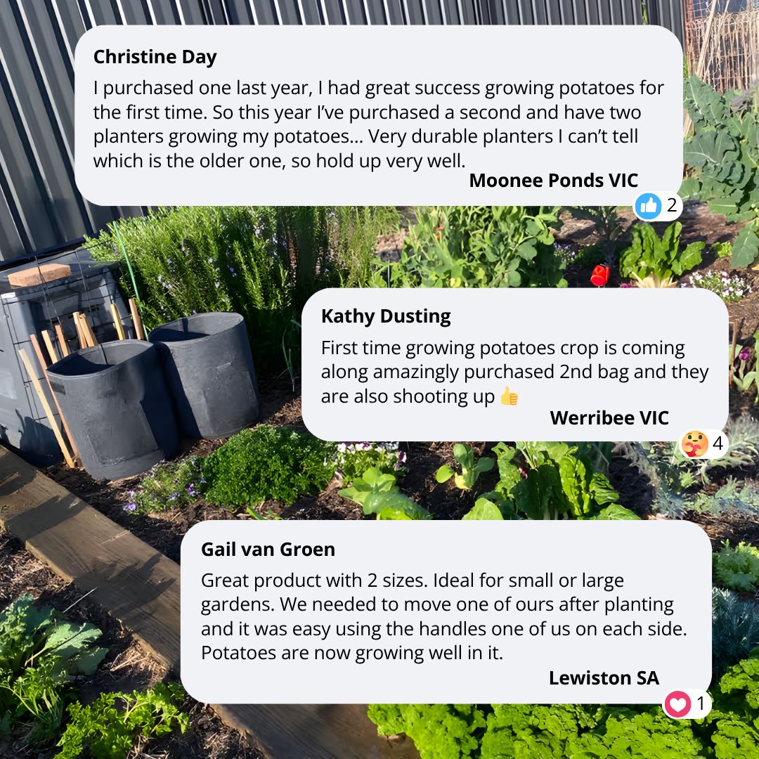 Aussie Gardener Potato Grow Bags - Reusable Heavy Duty Planter Bags - the easy way to grow potatoes at home potato bag Aussie Gardener 
