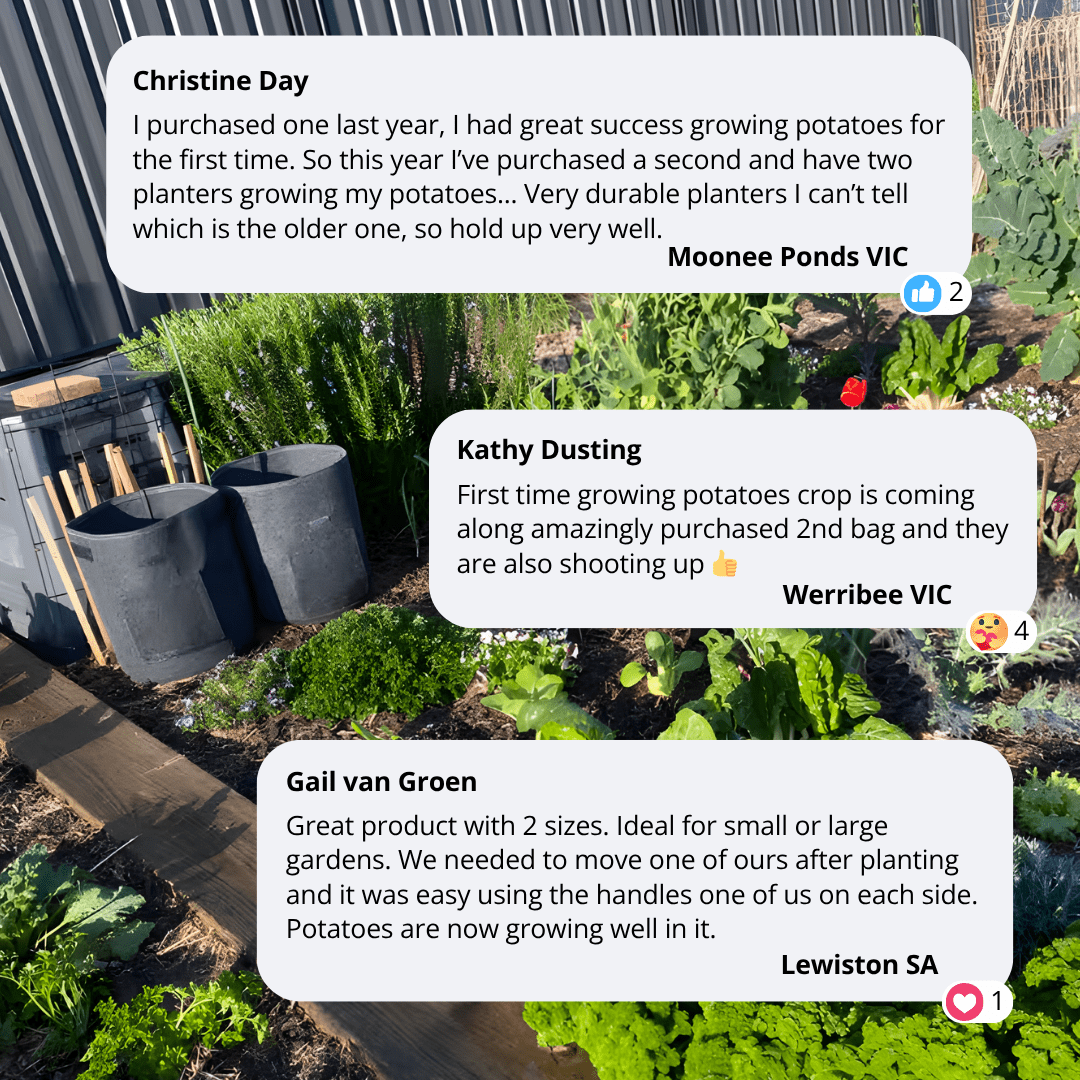 Aussie Gardener Potato Grow Bags - Reusable Heavy Duty Planter Bags - the easy way to grow potatoes at home potato bag Aussie Gardener 