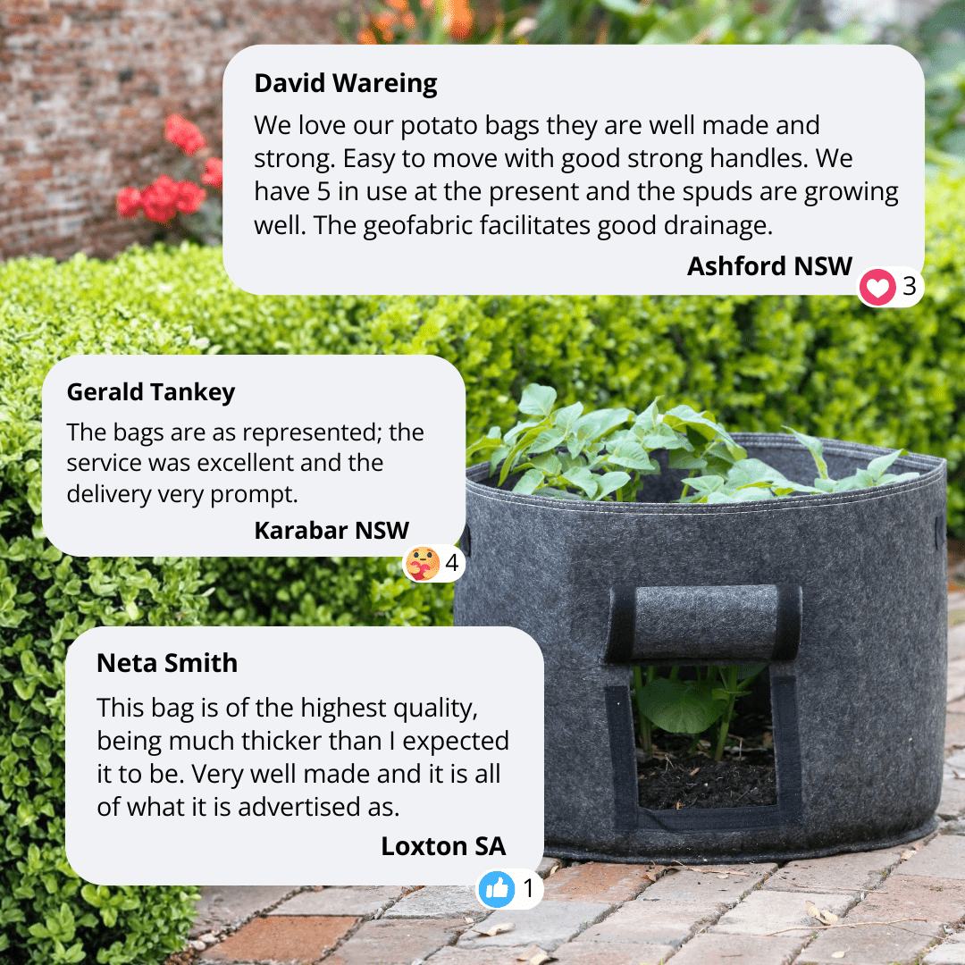 Aussie Gardener Potato Grow Bags - Reusable Heavy Duty Planter Bags - the easy way to grow potatoes at home potato bag Aussie Gardener 