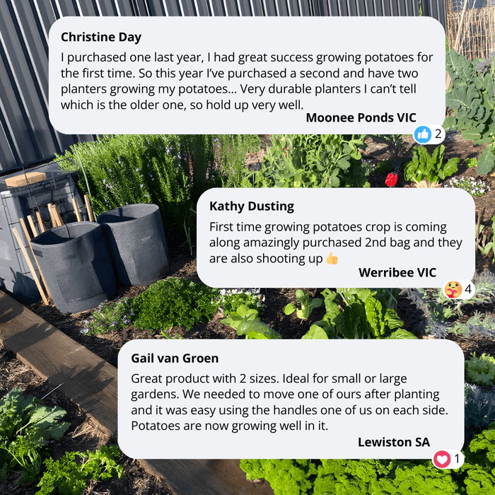 Aussie Gardener Potato Grow Bags - Reusable Heavy Duty Planter Bags - the easy way to grow potatoes at home potato bag Aussie Gardener 