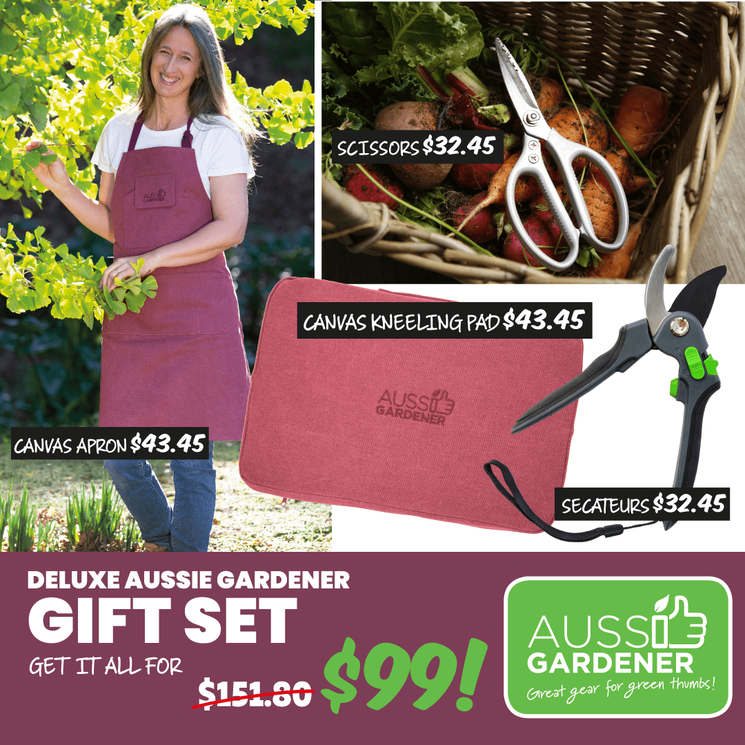Gift Ideas