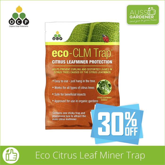 OCP eco Citrus Leaf Miner Trap