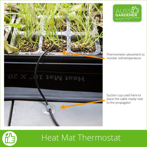 liftstyle shot showing the thermometer placed into a seedling tray with soil