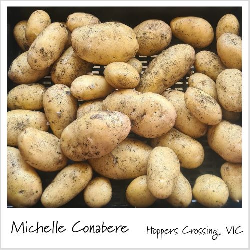 Aussie Gardener Potato Grow Bags - Reusable Heavy Duty Planter Bags - the easy way to grow potatoes at home potato bag Aussie Gardener 