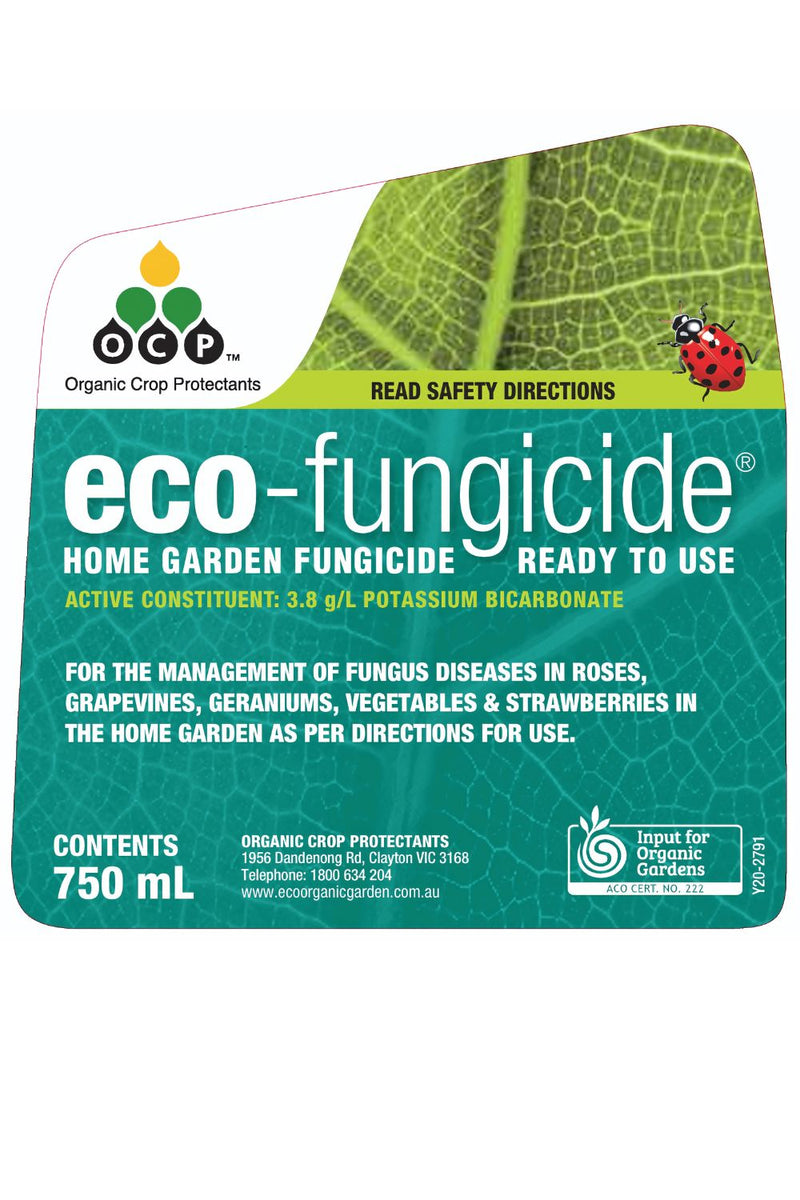 OCP Eco-Fungicide | Organic Powdery Mildew & Black Spot Control – 500g & 750ml Options pest control Yates 