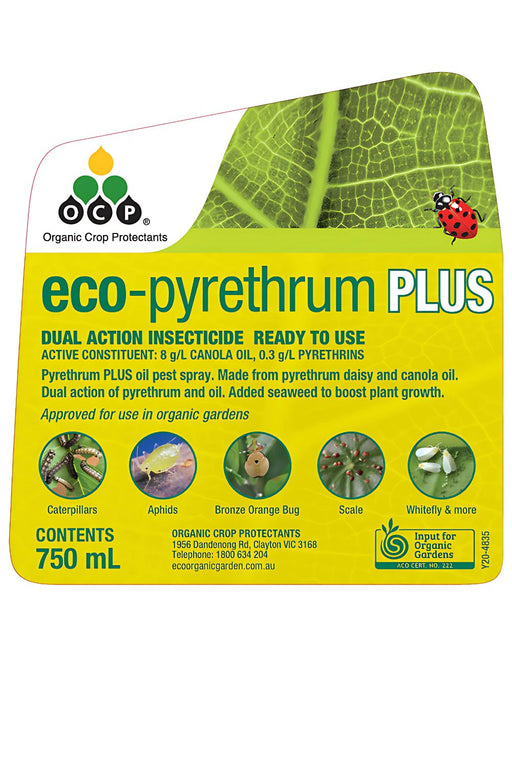 OCP eco-pyrethrum PLUS RTU 750ml – Ready to Use Natural Pest Killer pest control Yates 