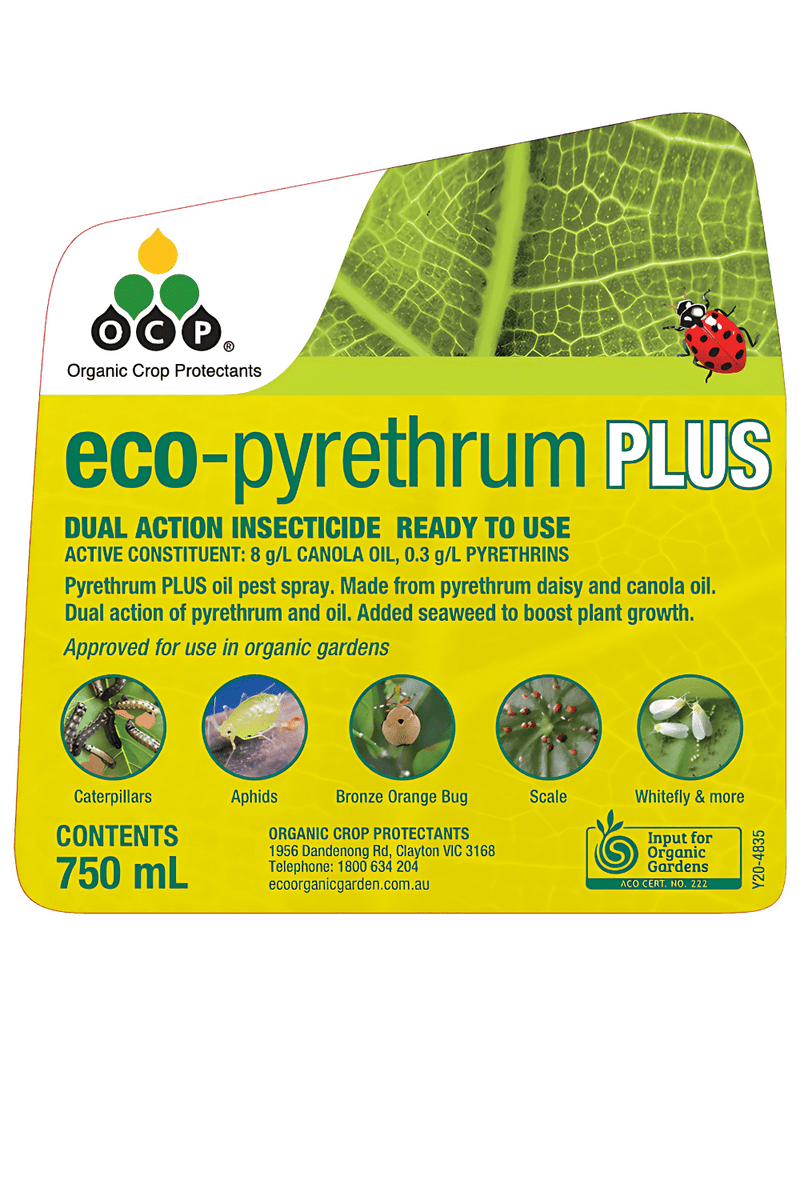 OCP eco-pyrethrum PLUS RTU 750ml – Ready to Use Natural Pest Killer pest control Yates 