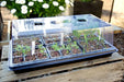 Aussie Gardener 36 Cell Seedling Propagator propagation Shen Zhen Hai Yi Plastic Products Co Ltd 