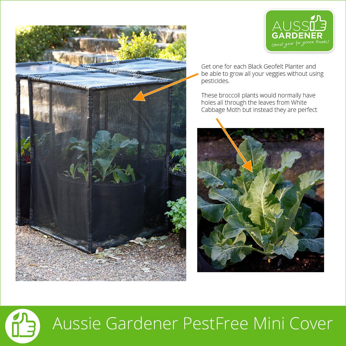 Aussie Gardener Mega Veggie Garden kits Aussie Gardener 