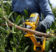 DeWalt DCMPP568P1-XE 18V XR Li-ion Cordless Power Pruner Shears Combo Kit Dewalt Power Tools Aussie Gardener 
