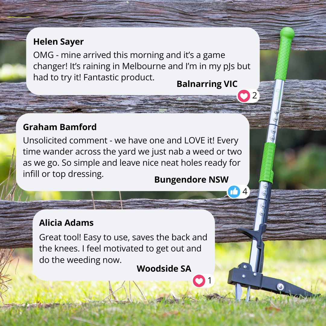 Aussie Gardener Long Handled Weed Puller Gadgets Aussie Gardener 