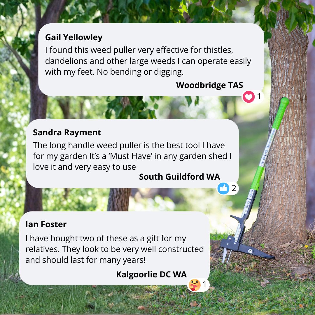 Aussie Gardener Long Handled Weed Puller Gadgets Aussie Gardener 