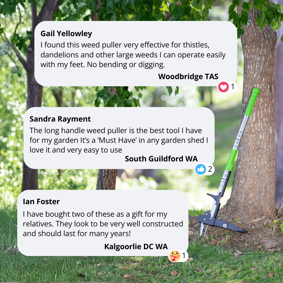 Aussie Gardener Long Handled Weed Puller Gadgets Aussie Gardener 