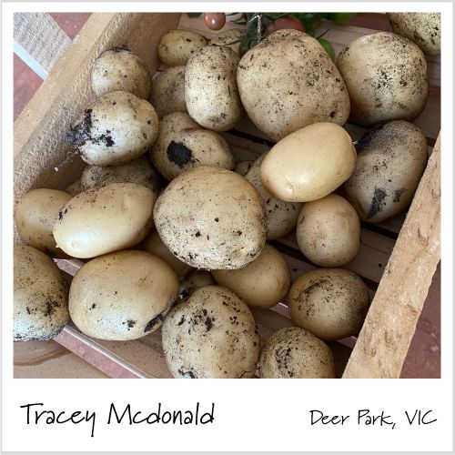Aussie Gardener Potato Grow Bags - Reusable Heavy Duty Planter Bags - the easy way to grow potatoes at home potato bag Aussie Gardener 