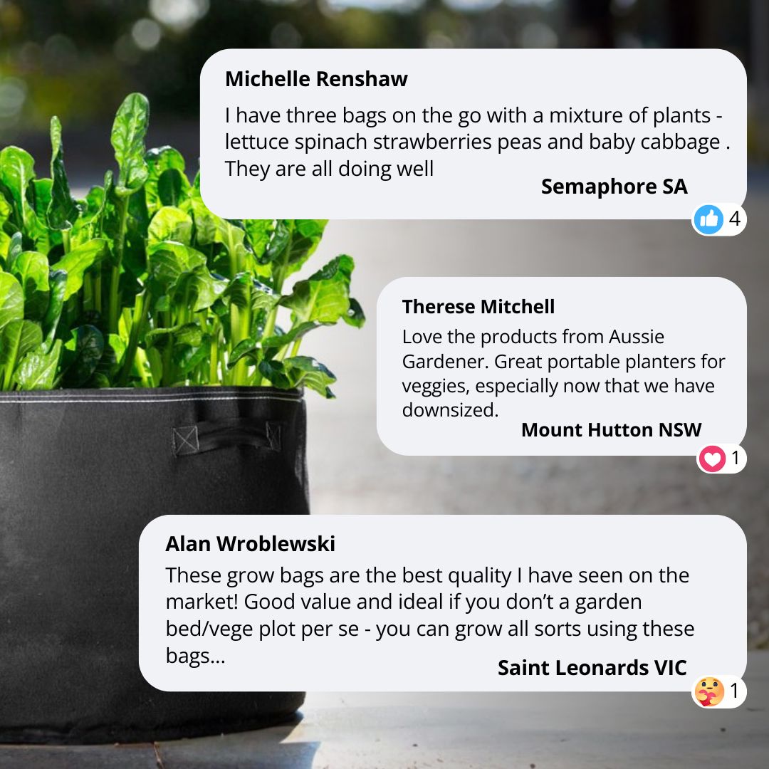 Aussie Gardener Black GeoFelt Veggie Growing Planter with Handles 550mmx400mm Aussie Gardener 
