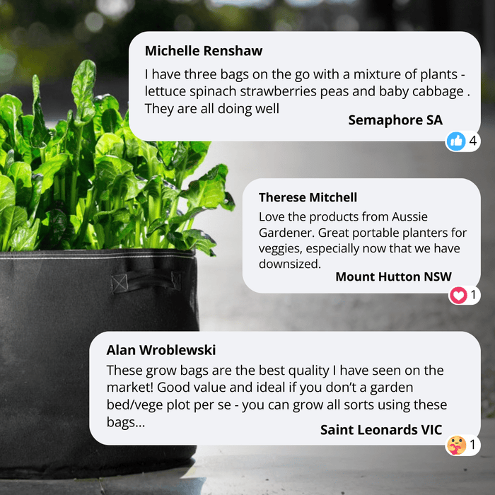 Aussie Gardener Black GeoFelt Veggie Growing Planter with Handles 550mmx400mm Aussie Gardener 