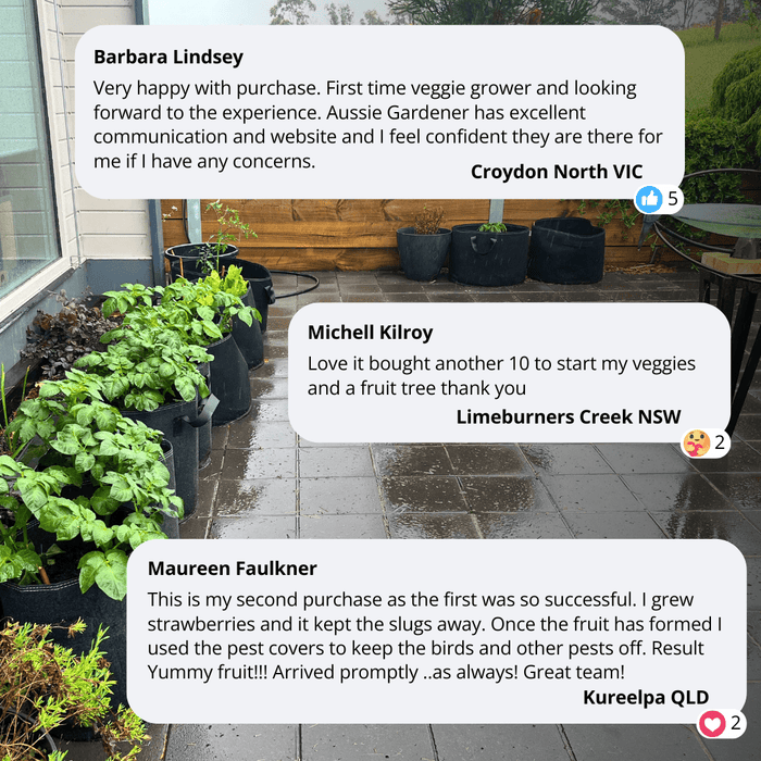 Aussie Gardener Black GeoFelt Veggie Growing Planter with Handles 550mmx400mm Aussie Gardener 