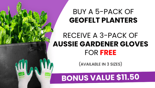 Aussie Gardener Black GeoFelt Veggie Growing Planter Aussie Gardener 5 Pack w/ FREE S Gloves 