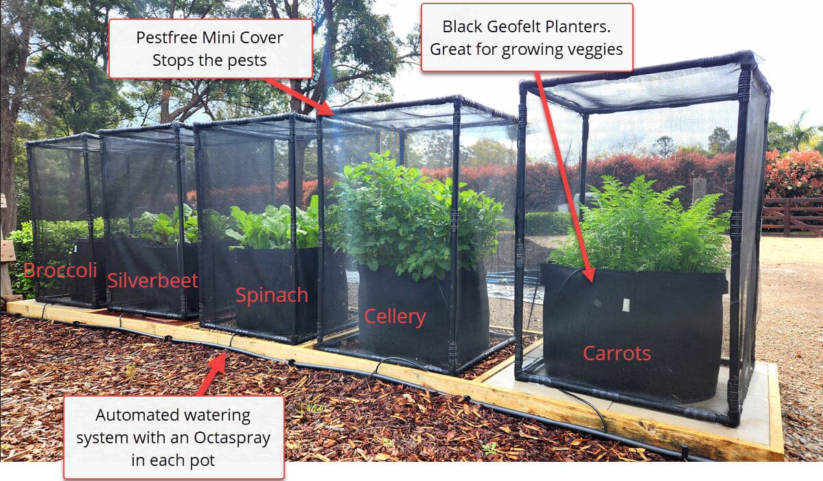 Aussie Gardener PestFree Mini Cover Home & Garden Hymo Industry Single Pestfree Mini Cover Kit 