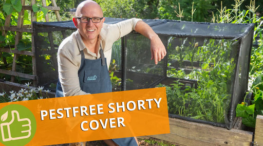 Pestfree shorty product video thumbnail.