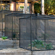 Pestfree maxi covers over raised garden beds, protecting vegetables from insects and birds.