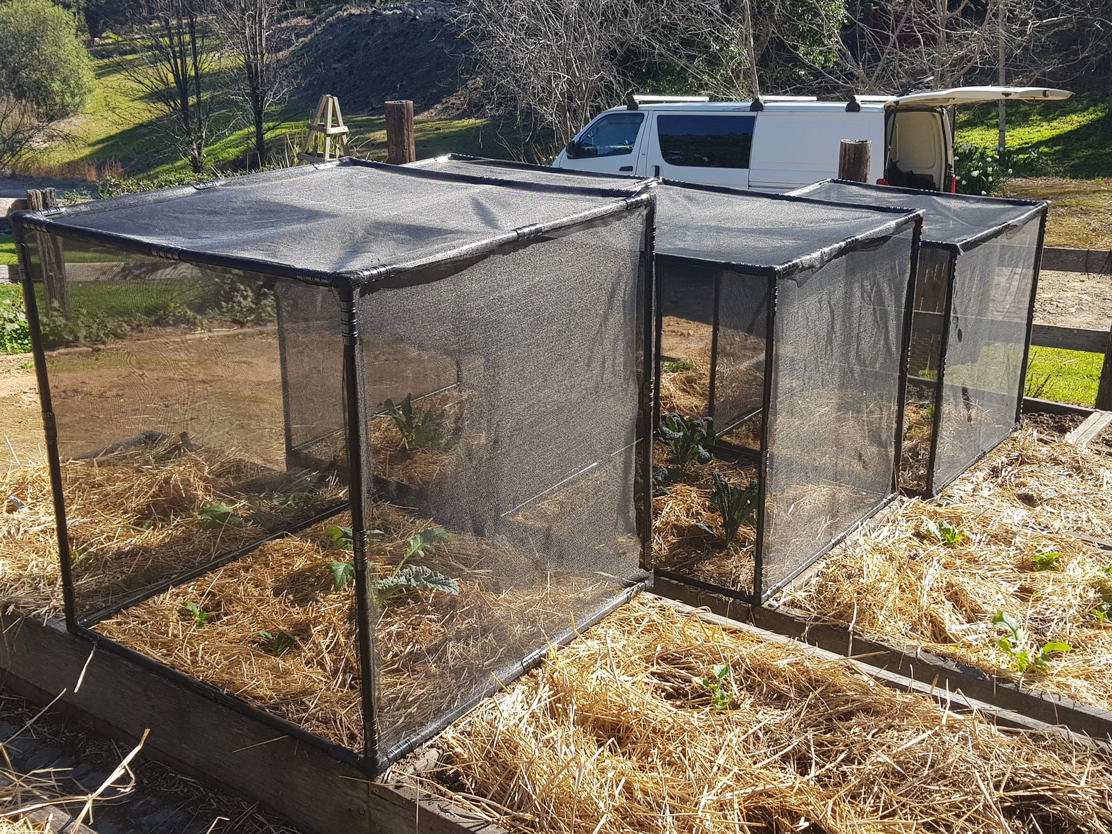 Aussie Gardener PestFree Maxi Cover (1m cube) Home & Garden Hymo Industry 